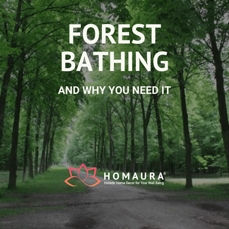 forest bathing